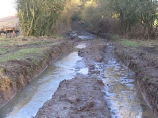 Damaged lane, Candovers, Hampshire
